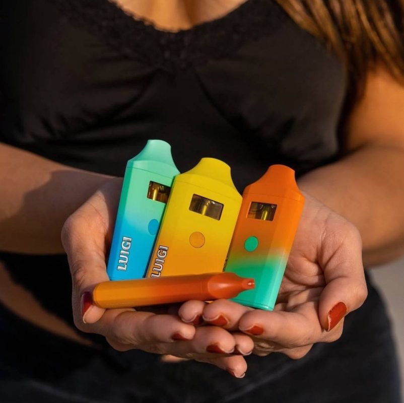 luigi disposable